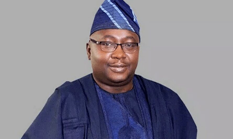 We can’t fix electricity problem of 50 years in one year – Adelabu tells Nigerians