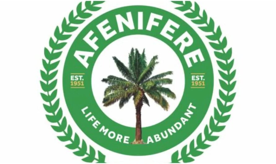Yoruba nation agitation: Afenifere reacts to invasion of Oyo House of Assembly