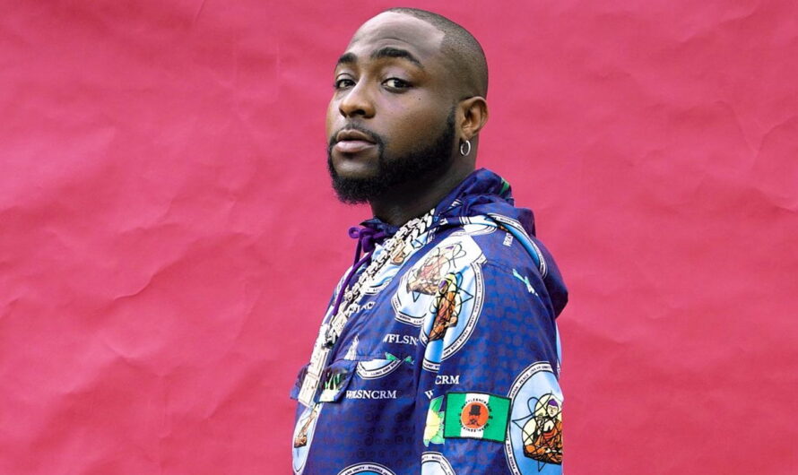 My family distribute electricity to most of Nigeria – Davido