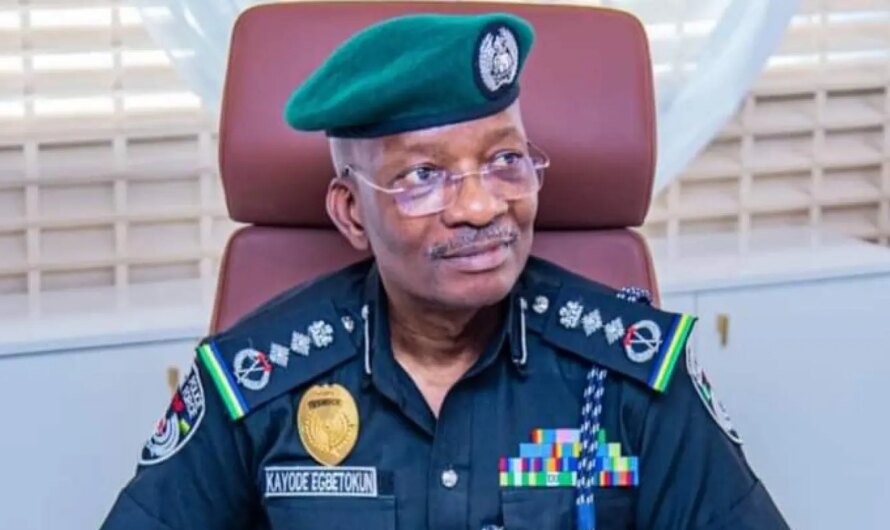 Nigeria not ripe for state police – IGP Egbetokun gives reasons