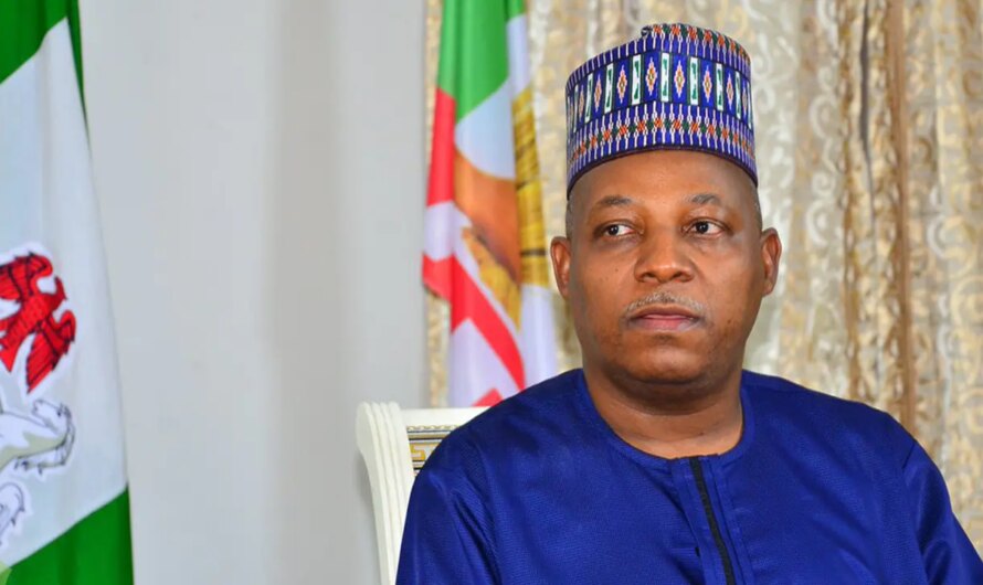 Reps ask Shettima to summon emergency meeting of Niger Delta Power Holding Company board
