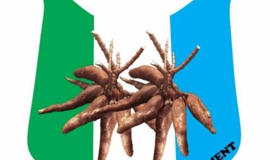 New Osun logo waste of taxpayers’ money – APM