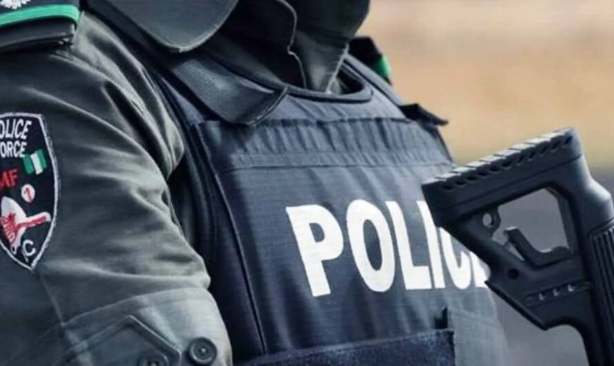 Police arrest four men who killed Osun woman for money rituals