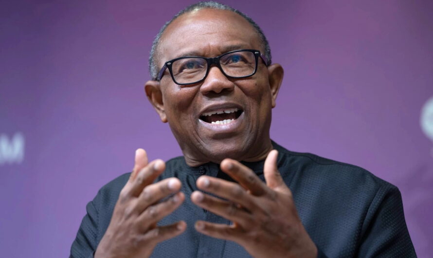 2027: Only God can tell who will run for election – Peter Obi