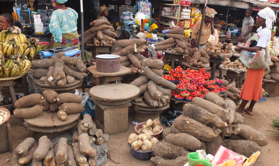 Why prices of goods are on the increase in Nigeria – Manufacturers