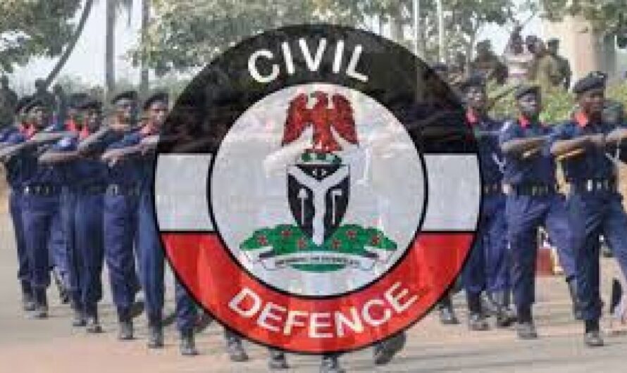 NSCDC arrests 6 suspected power cable thieves in Yobe