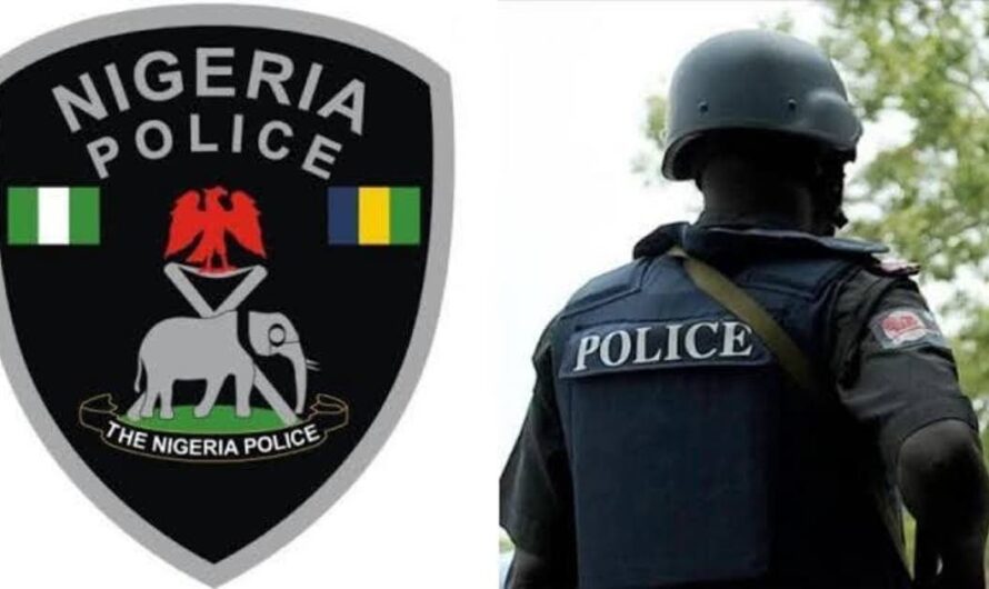 Police enforce ban on ethnic vigilante groups, other organizations in Nasarawa