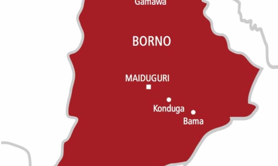 Repentant Boko Haram members attack police station, checkpoints in Borno