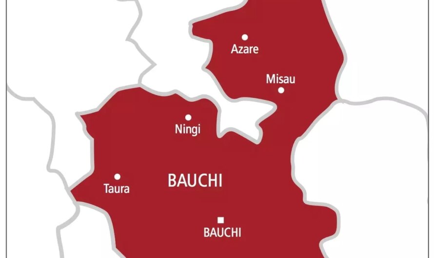 Bauchi loses children to severe acute malnutrition